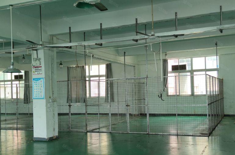 惠城小金口工业园700平独院整层厂房办公室物流仓库出租可分租