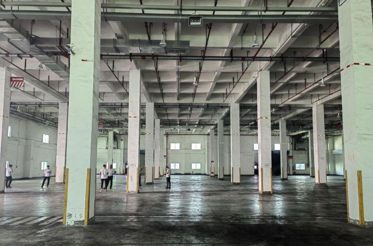 惠城区三栋镇滴水10米带平台物流园厂房出租