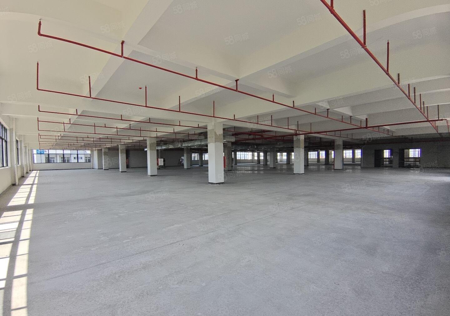 自有厂房招租，平潭怡发工业区全新工业园2000平起