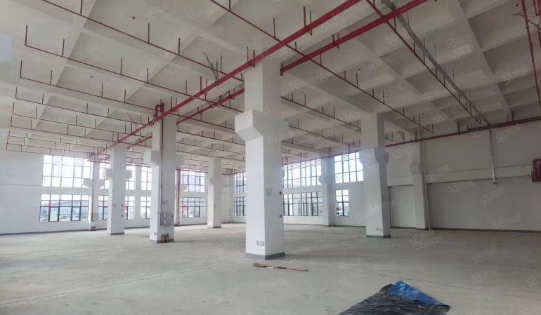 马安新乐工业区全新标准厂房单层1300平起低价出租