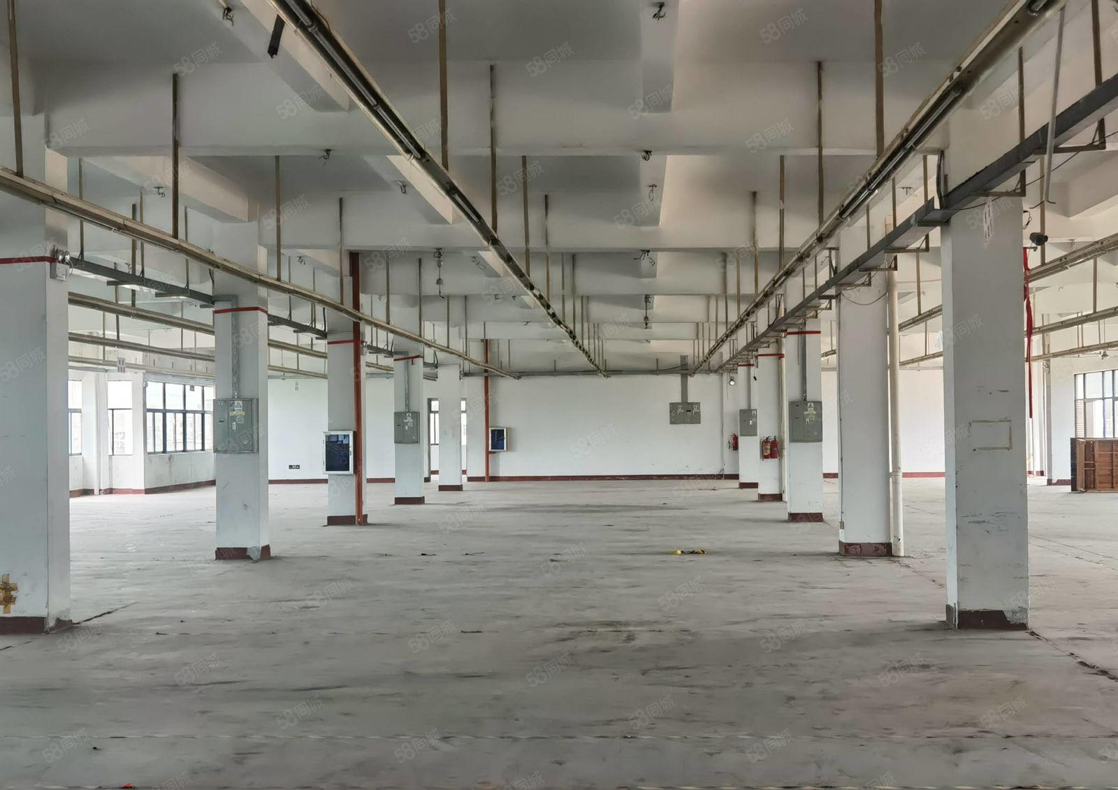 水口一楼楼房仓库1450平方出租，可进大车，空地超大