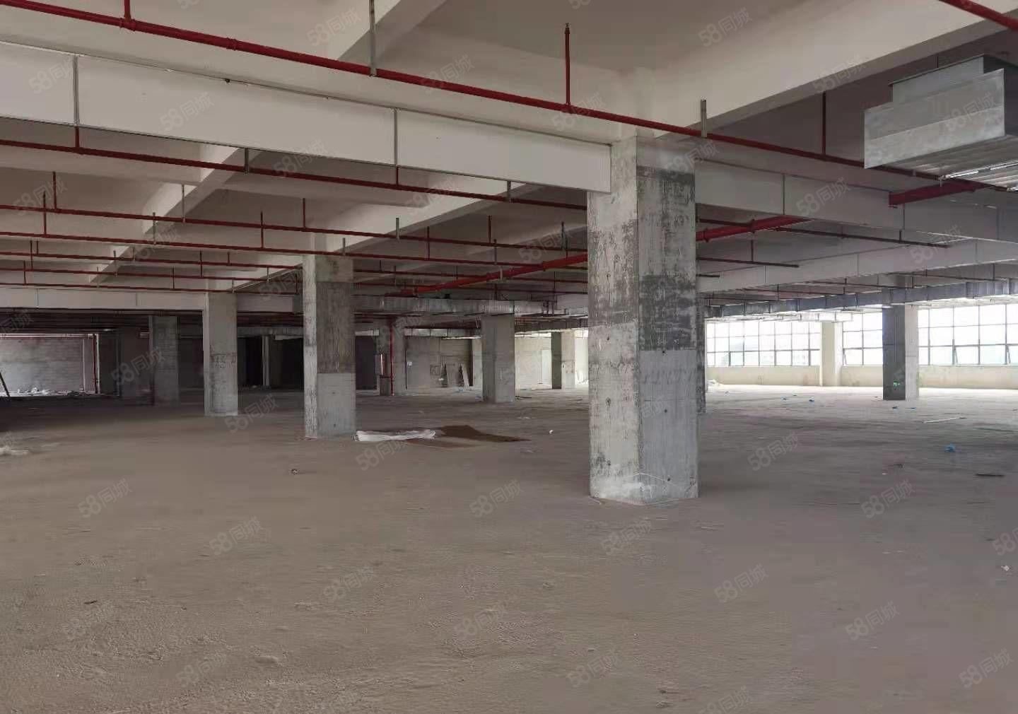 小金口全新标准独院原房东厂房单层6600平可分租水电自己交