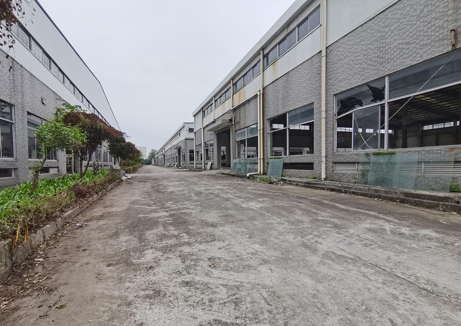 惠城马安新湖工业园占地面积20万平方厂房仓库出租500平起租