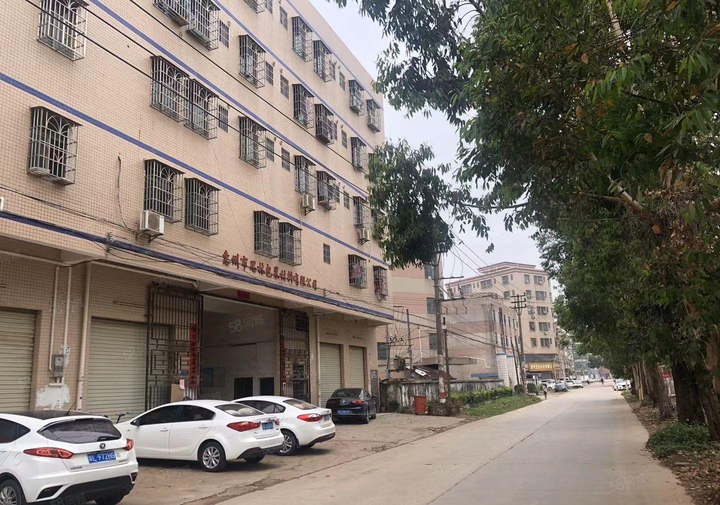 自有物业，大路边证件齐全，一楼1300平方可做档口等多用途，