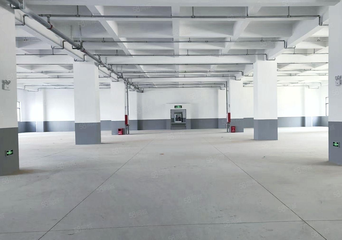 惠城区水口东江10元起2000平标准厂房招租行业不限可办环评