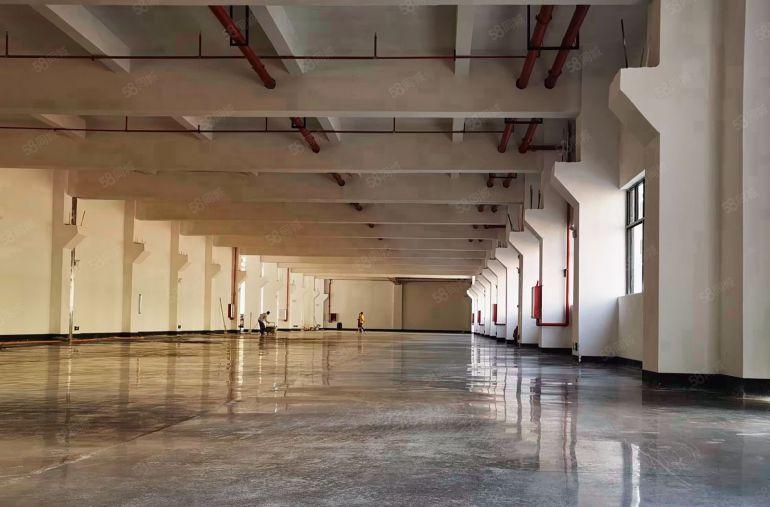 水口镇标准厂房一楼带牛腿现成装修办公室2100平厂房仓库出租