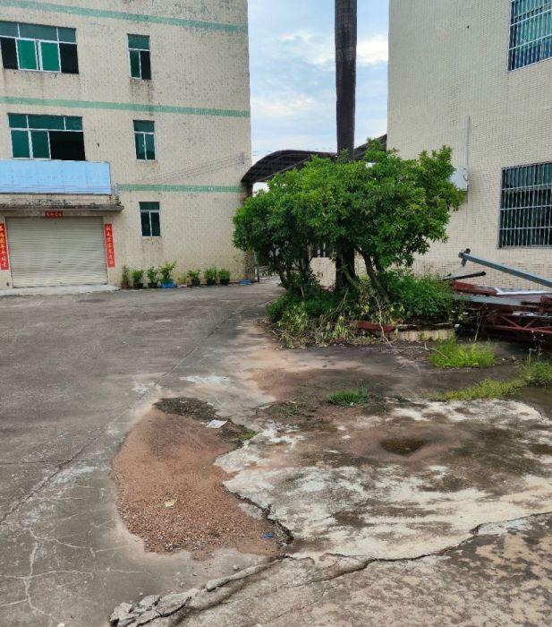 小金口独门独院3000平方厂房出租，交通便利，带三箱电