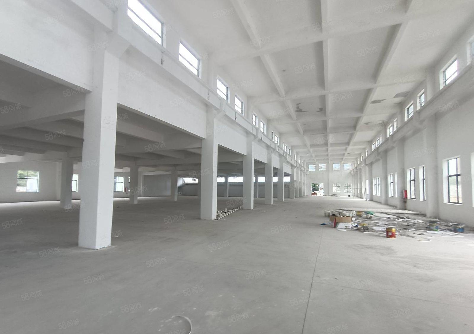 惠城区江南大道旁红本工业园一楼标准9米高厂房3500平方出租