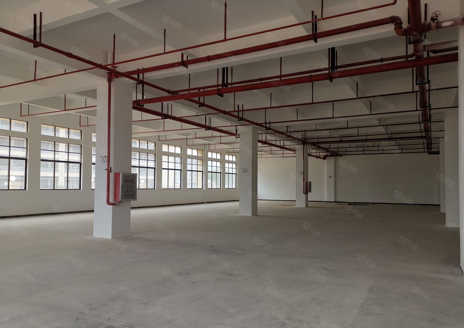 水口龙湖大道边全新标准一楼厂房1350平出租 易招工