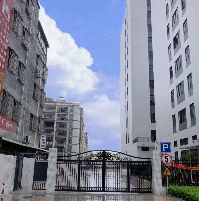 马安新乐 原房东红本全新标准厂房1000平起租 租金13