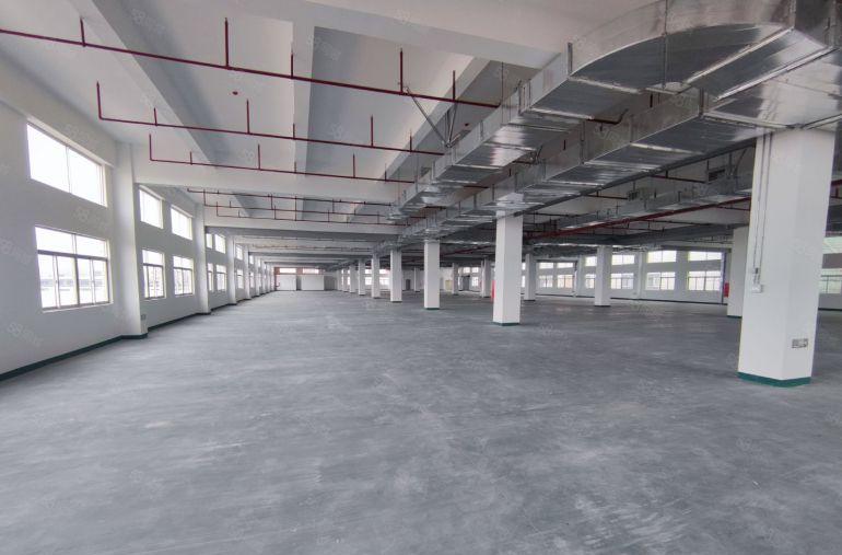 惠城区马安原房东独栋厂房出租1000平起分租一楼7米高