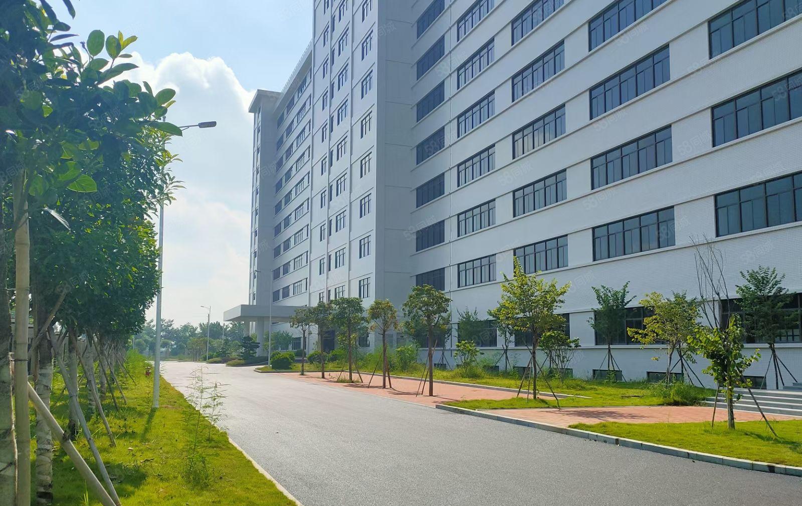 靓惠州水口38万平方花园式红本厂房