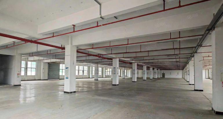 水口独门独院厂房出租，1.8万平方米，原房东无公摊