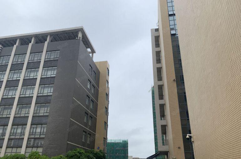 惠城东江高新区水口厂房出租，享受高新区政策补贴，属仲恺高新区