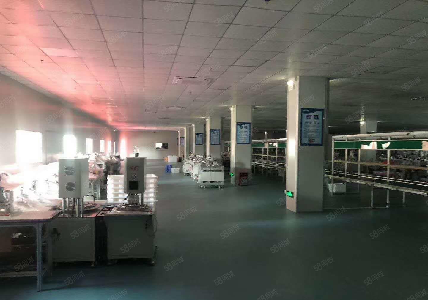 水口原房东厂房出租，一楼1800平方，二楼1300平方