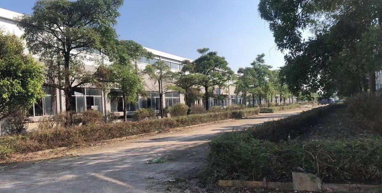 珠三角目前单层钢构国有证园林式廠房出租