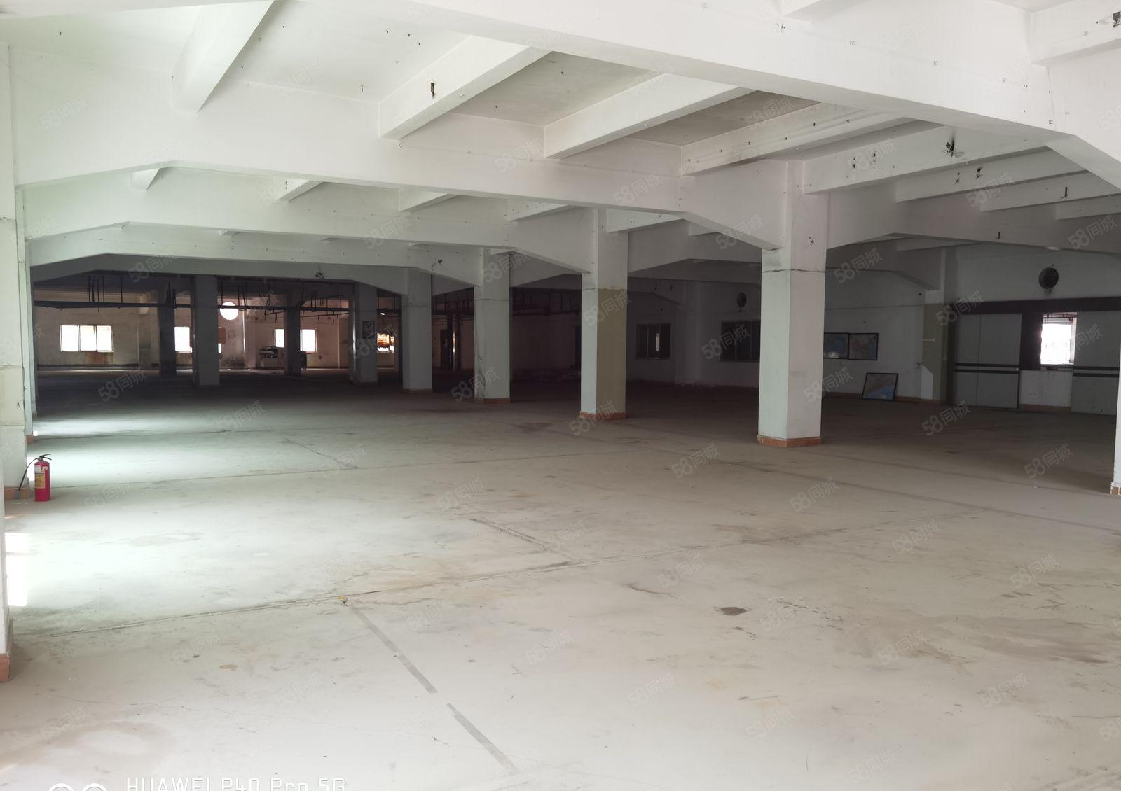 惠城区水口镇原房东自带化工证排污证线路板厂房业主直租