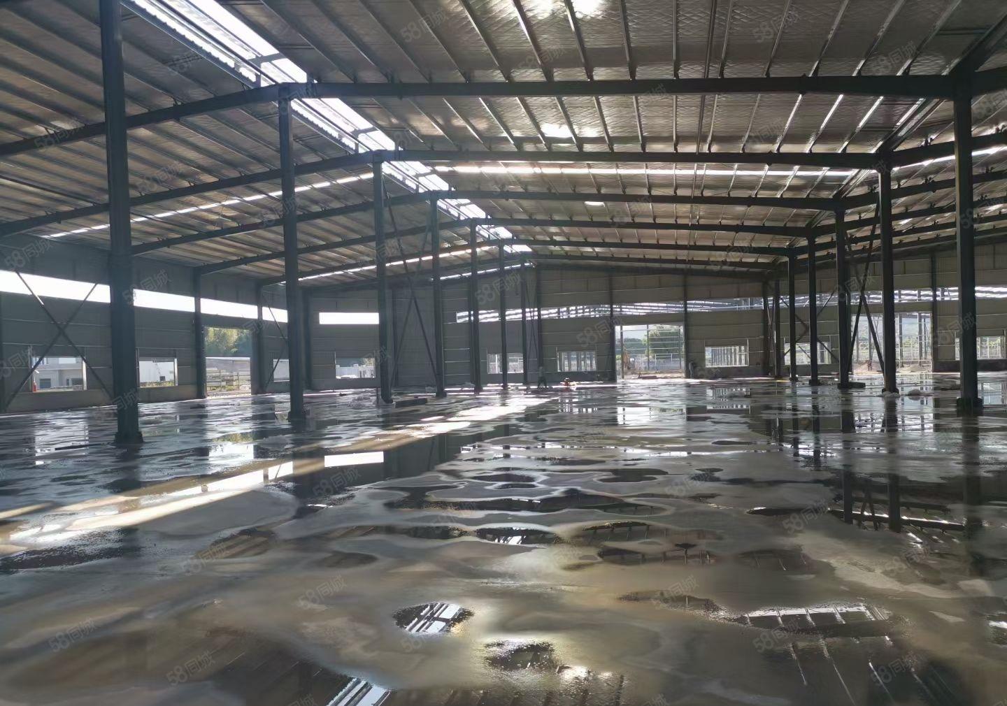 小金口全新原房东独院钢构3300平方，空地3000平方