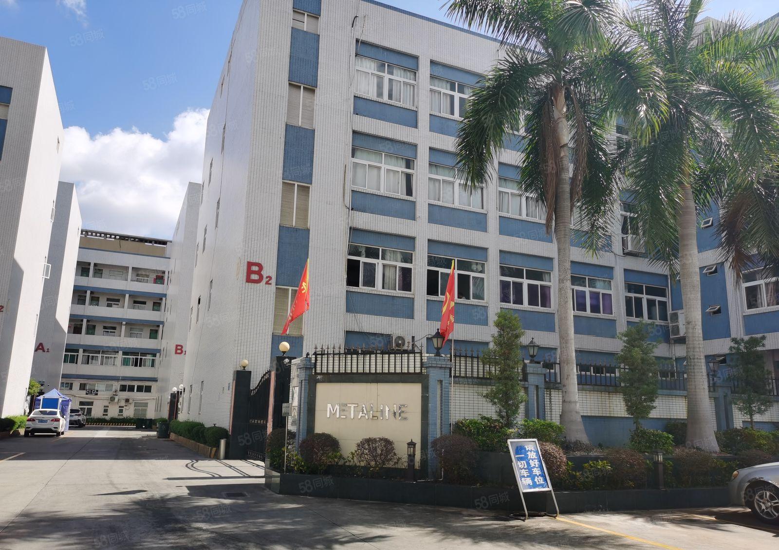 8元起200平起分租惠城三栋原房东5万平仓库厂房一楼空地出租