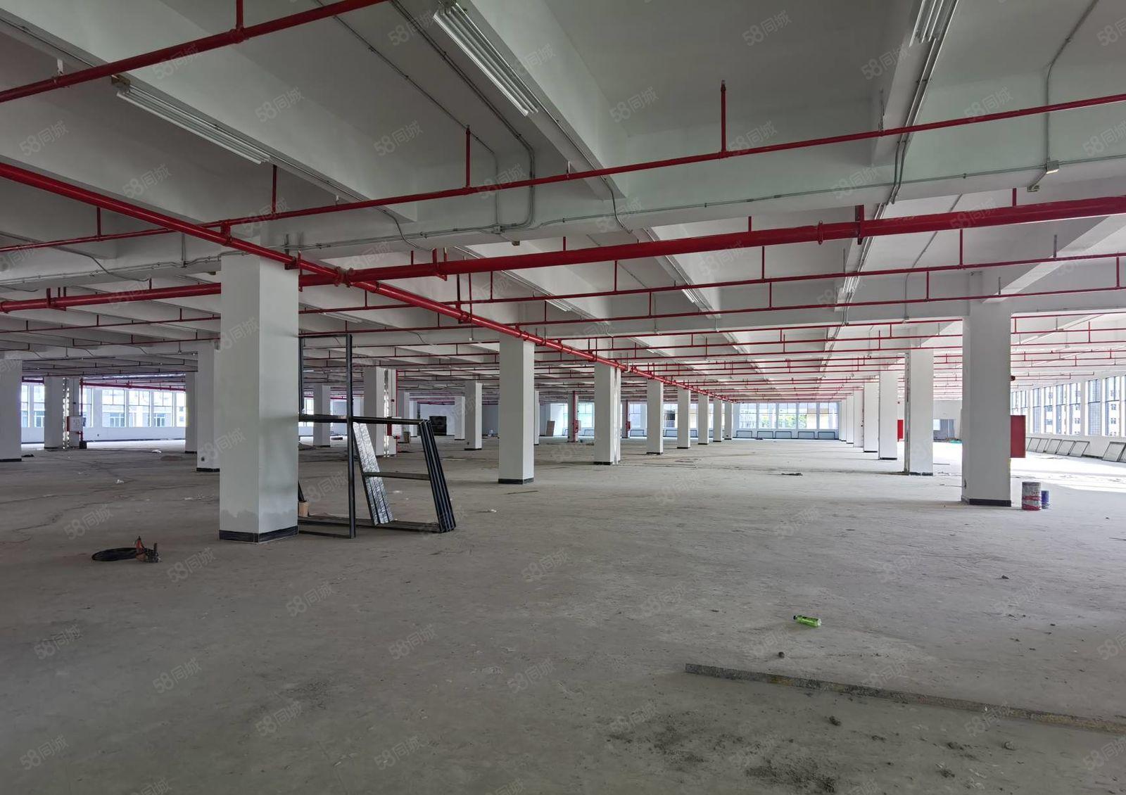 三栋格林精密旁全新厂房4楼1500平米 租金9.9元 证件齐