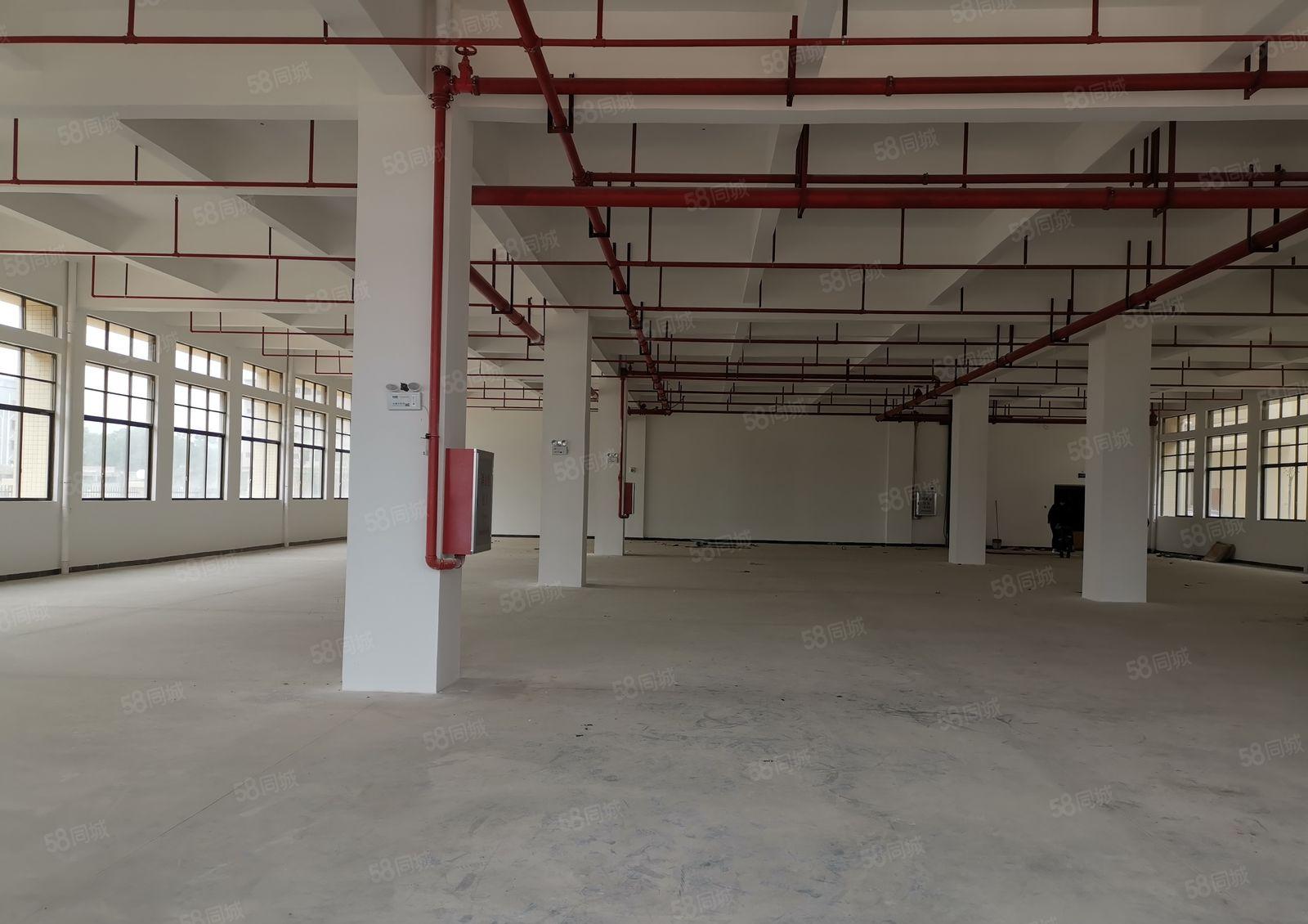 水口龙湖大道边全新标准一楼厂房1350平出租 易招工