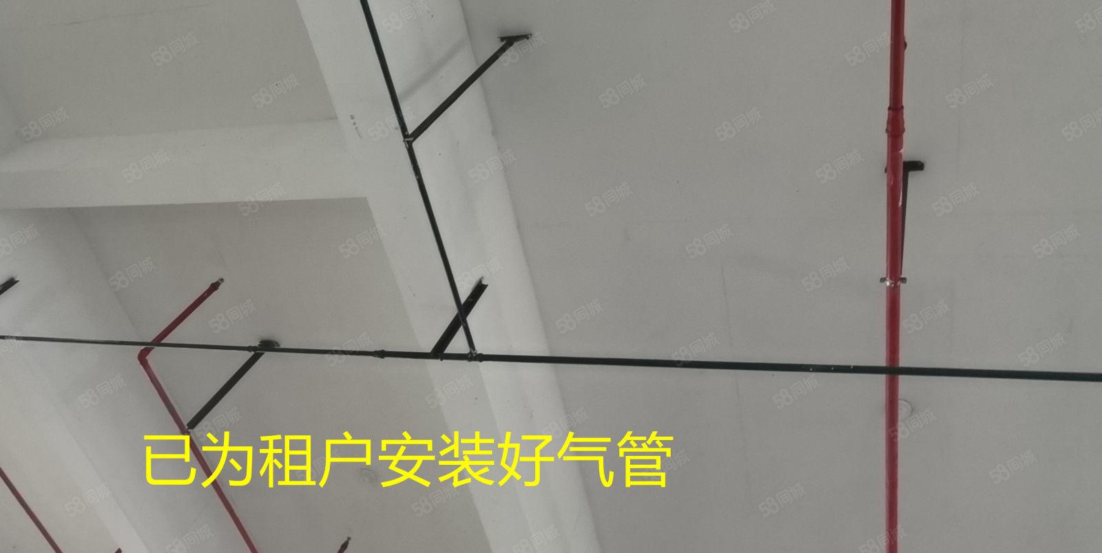 惠州市水口原房东厂房出租，面积3188至3万平方大小可分租