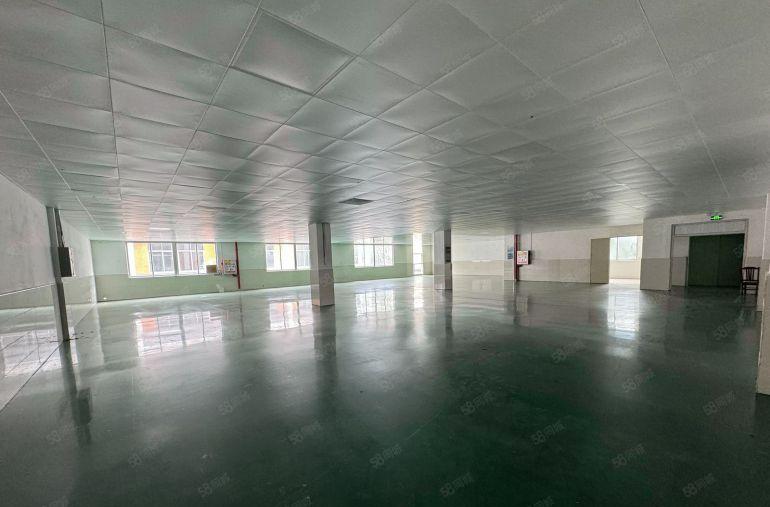 水口每平方6元红本独院标准厂房5000平方出租证件齐全