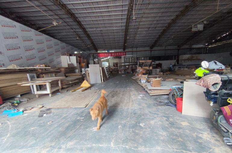 马安新乐工业区原房东单一层850平滴水6米铁皮钢构大路边。