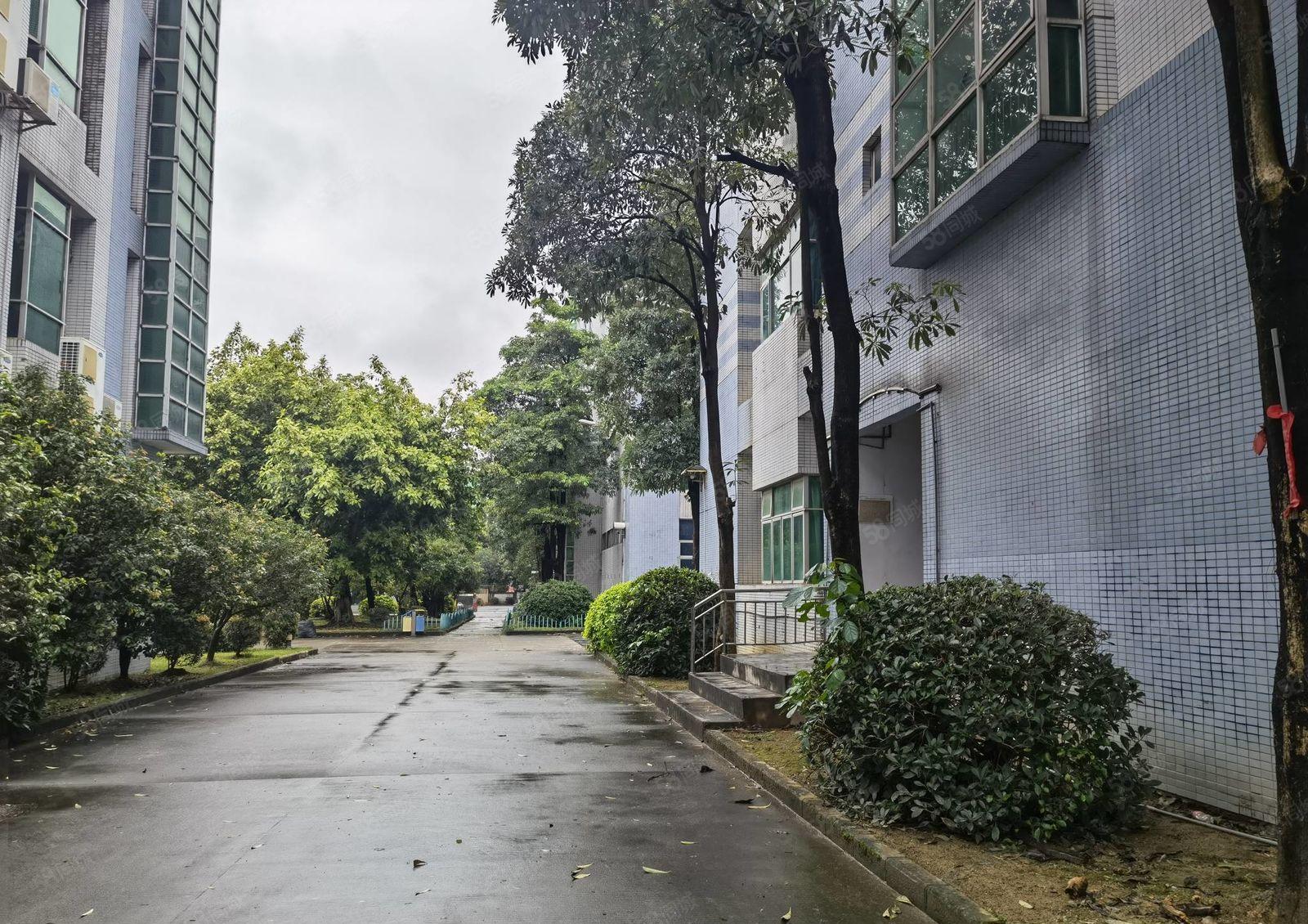 水口荔枝城工业区新出楼上600平精装修办公室厂房低价出租