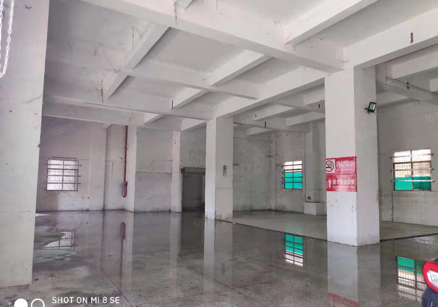 惠城区，小金口柏岗，原房东标准厂房招商，交通便利，价格便宜