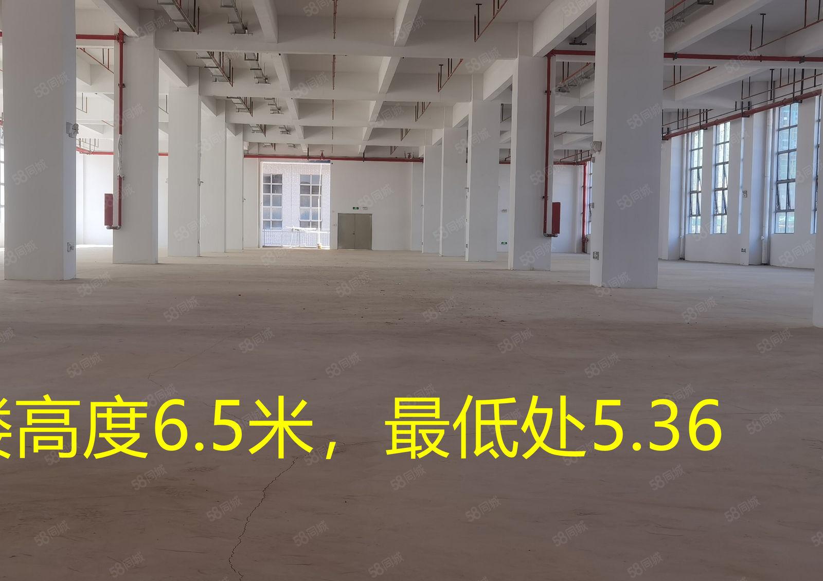 惠州市水口原房东厂房出租，面积3188至3万平方大小可分租
