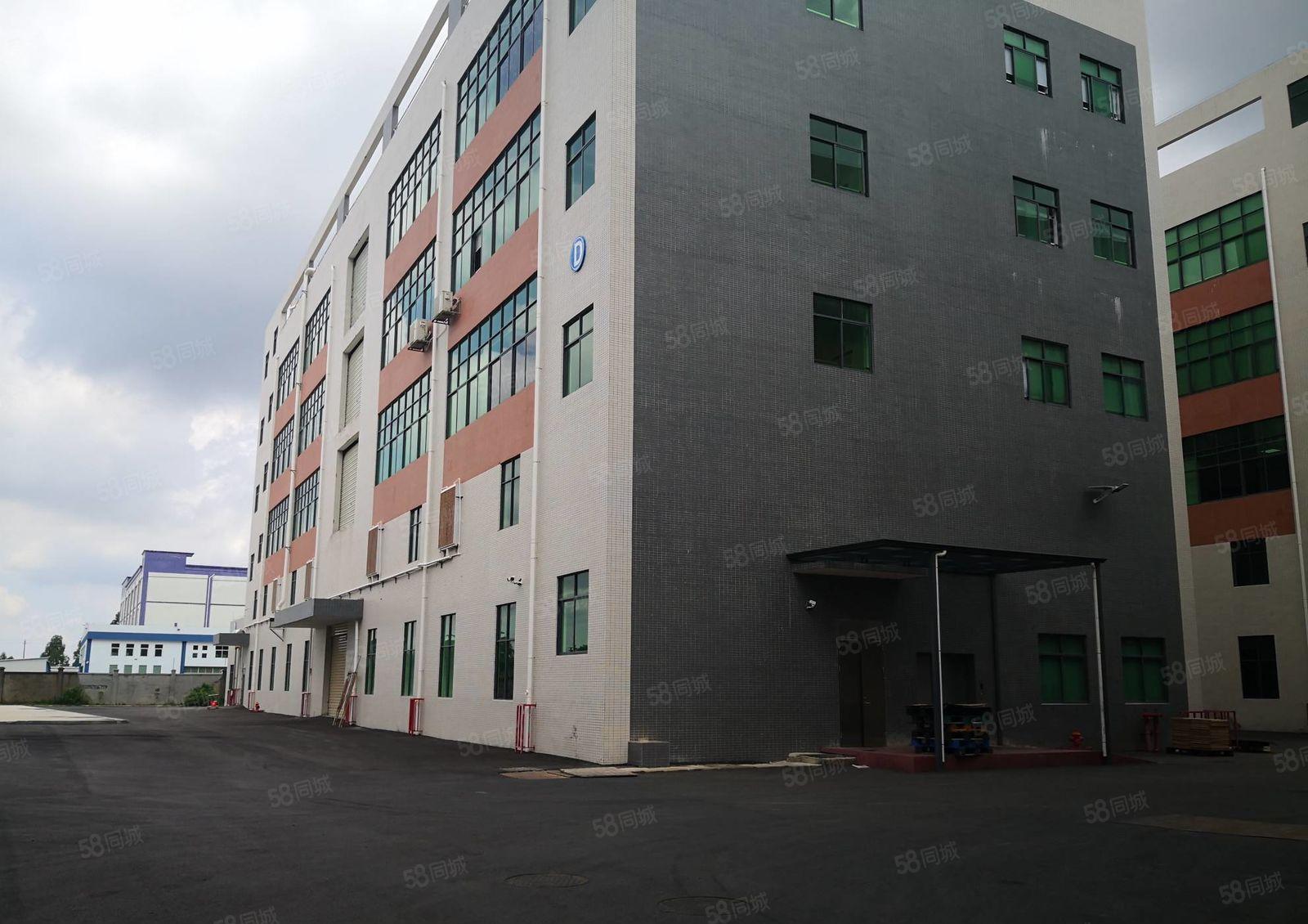 惠城区小金火车北站附近新建钢构18000平方厂房出租