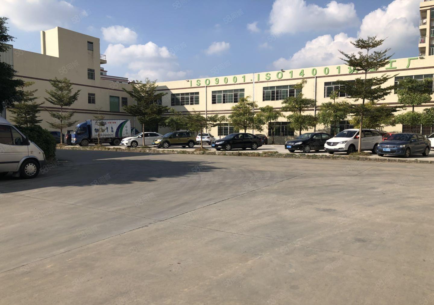 小金口一楼3200平方13元