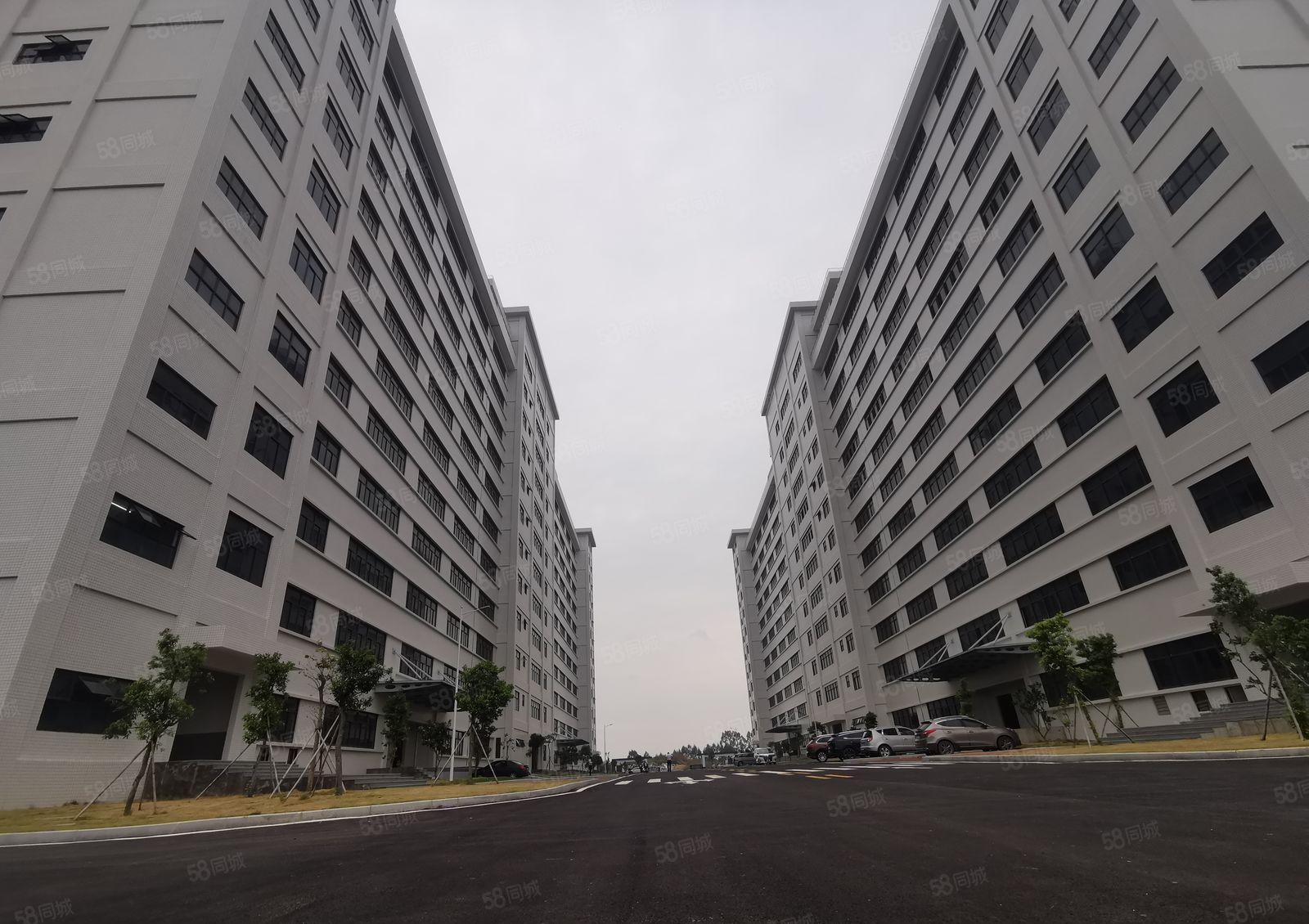 9元厂房出租水口工业区38万平方200平方起分租