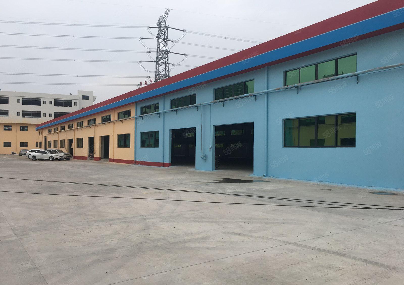 惠城小金口侨兴工业园独栋6400平钢构仓库厂房出租可分租