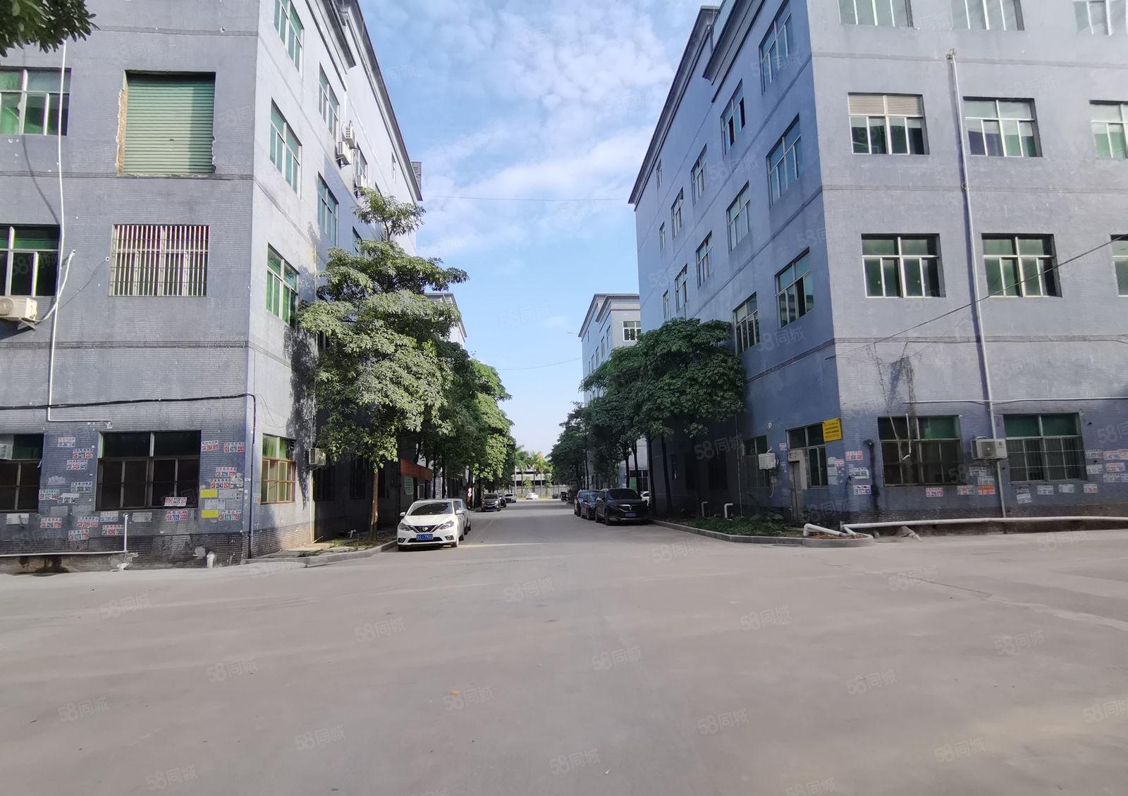 10元起租 惠城立新科技电子工业园新出原业主5000平方厂房