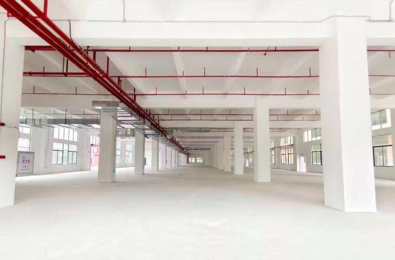 博罗县原房东全新家具行业厂房出租环评无扰