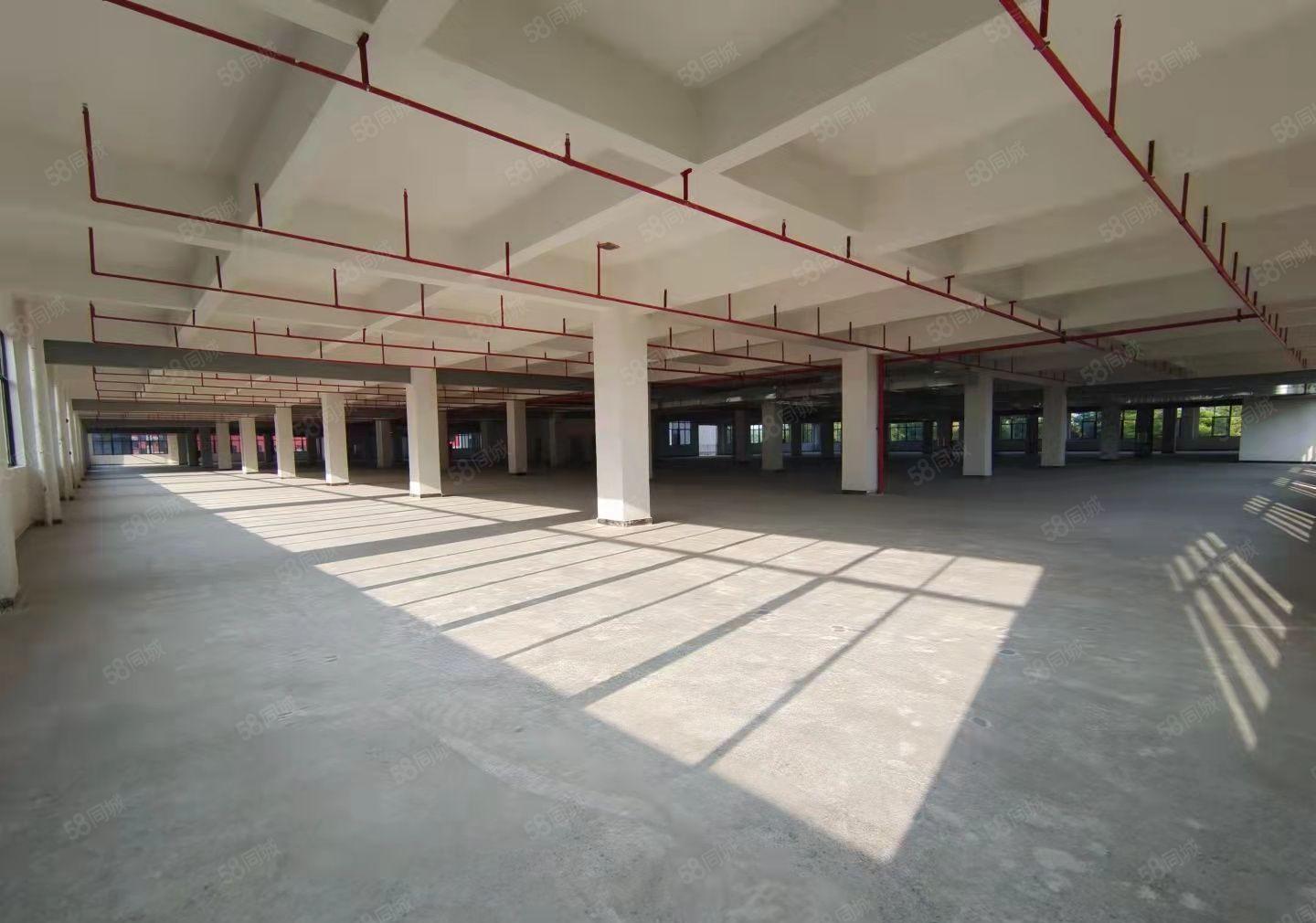 自有厂房招租，平潭怡发工业区全新工业园2000平起