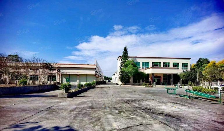 马安镇新出独院钢构厂房