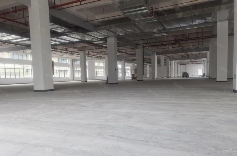 马安独门独院厂房出租