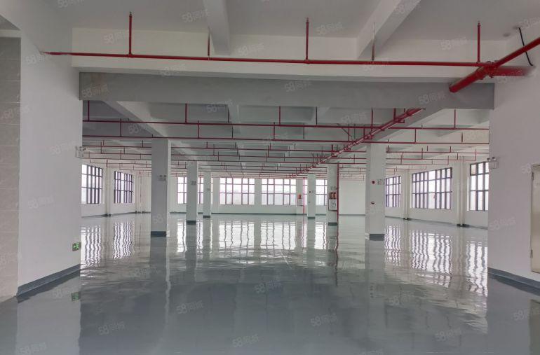 10元马安原房东500方1000方1500方红本标准厂房招租