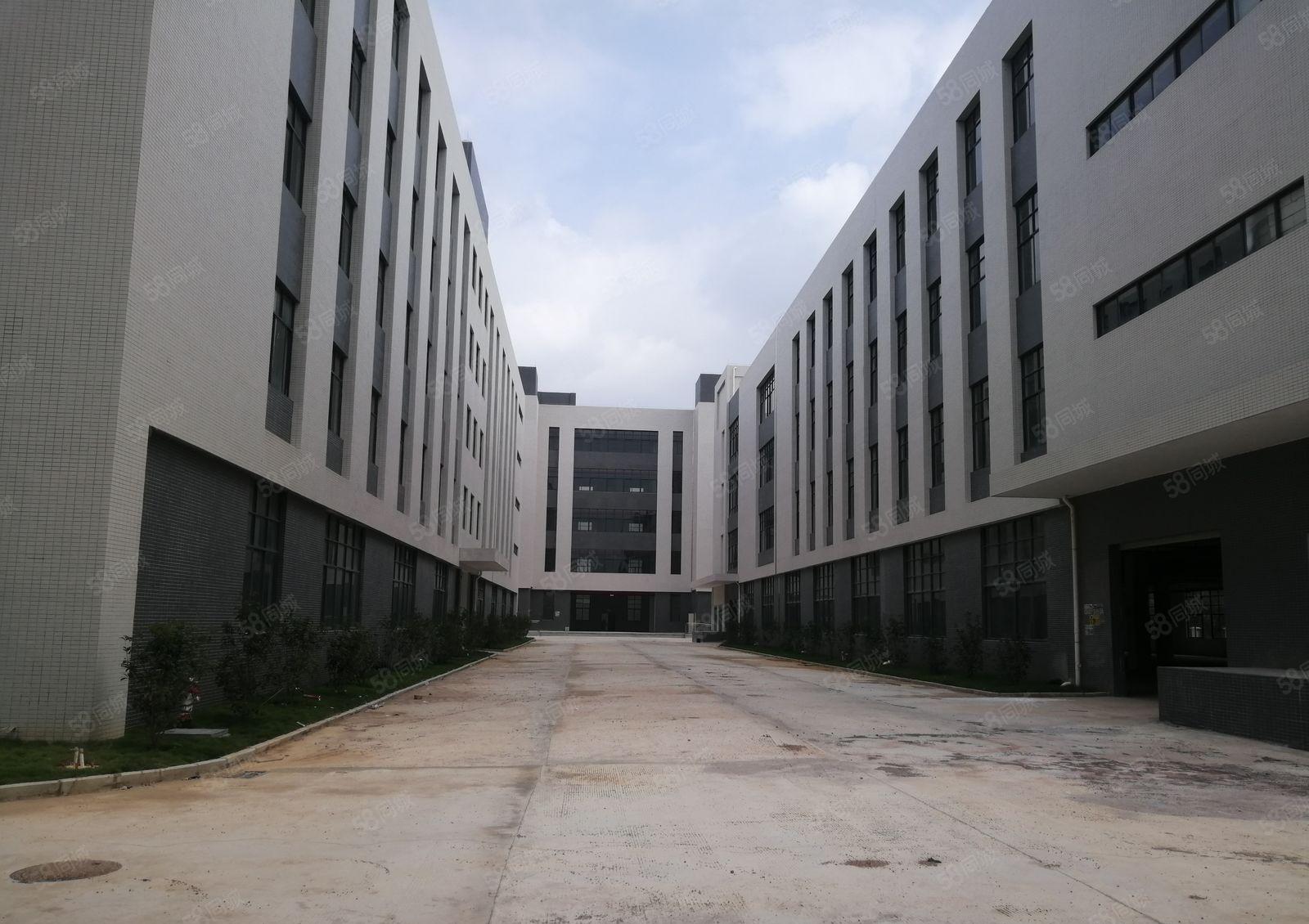 12元起租水口镇全新5万平红本厂房仓库可做污染行业出租