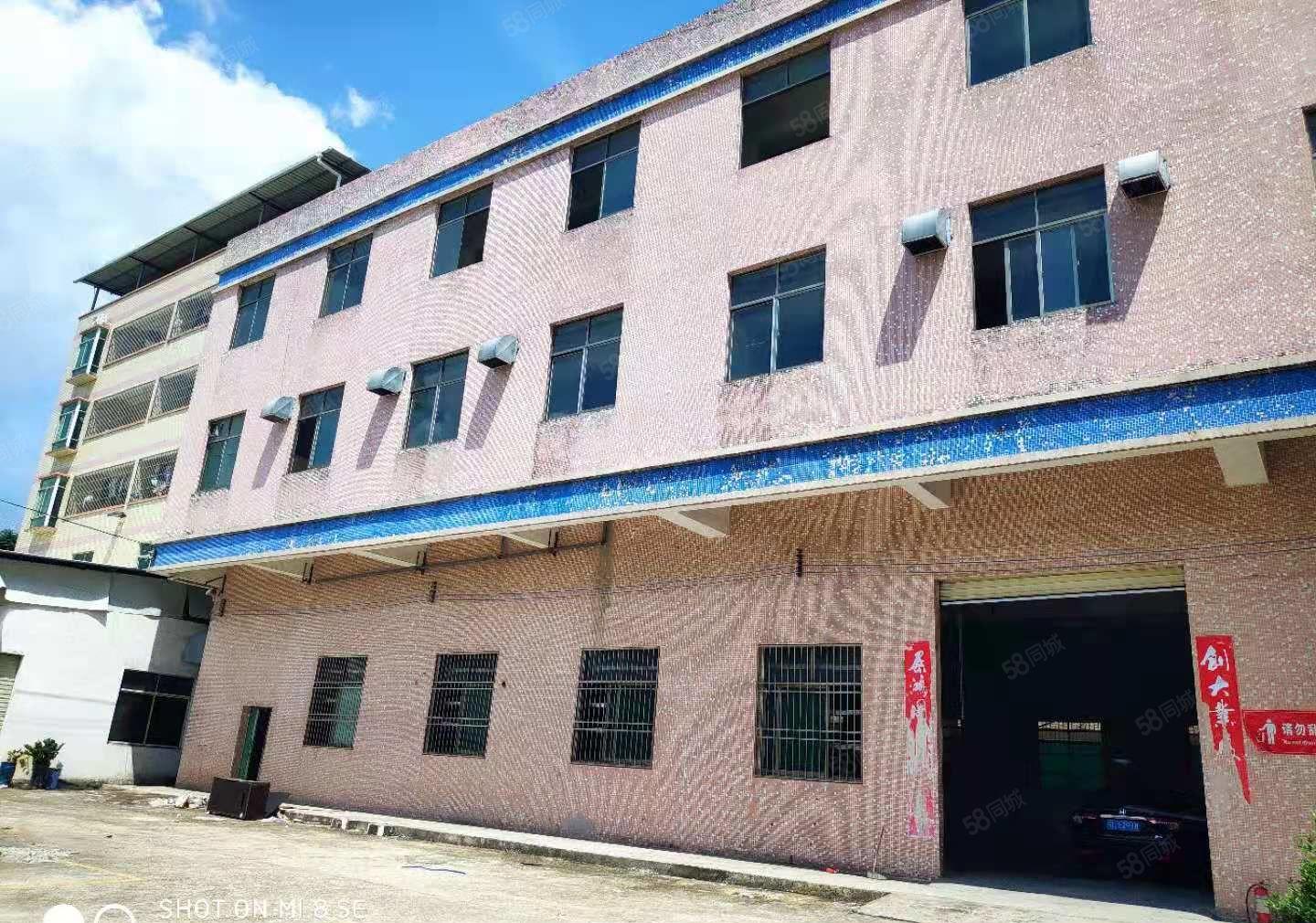 惠城区，小金口柏岗，原房东标准厂房招商，交通便利，价格便宜