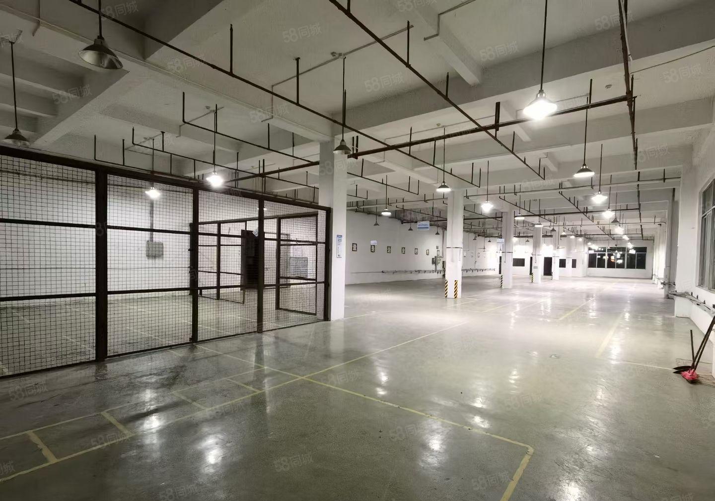 三栋数码园花园式一楼标准厂房1600平方带装修出租