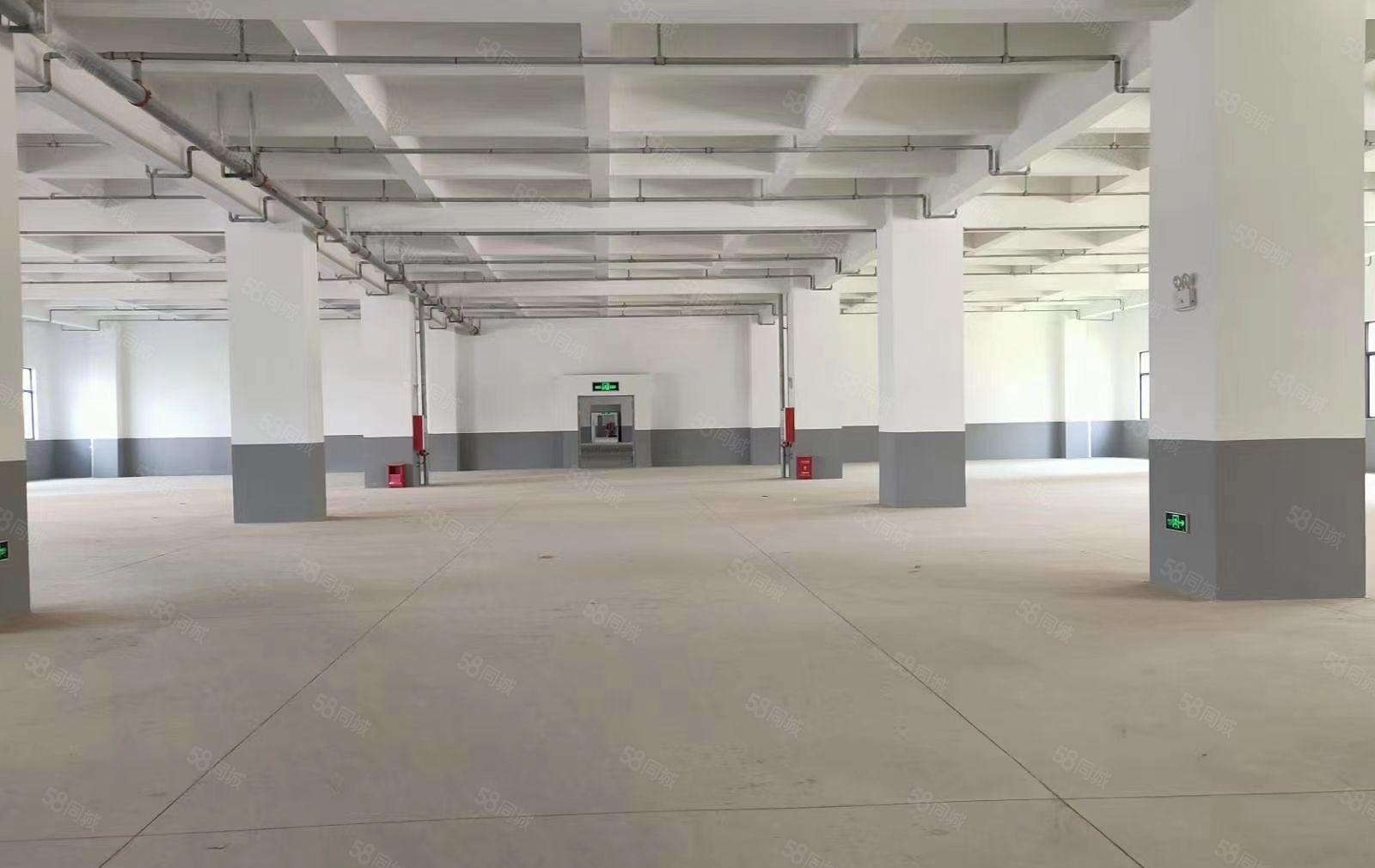 水口花园式大型产业园红本厂房招商，大小可分，园区配套齐全