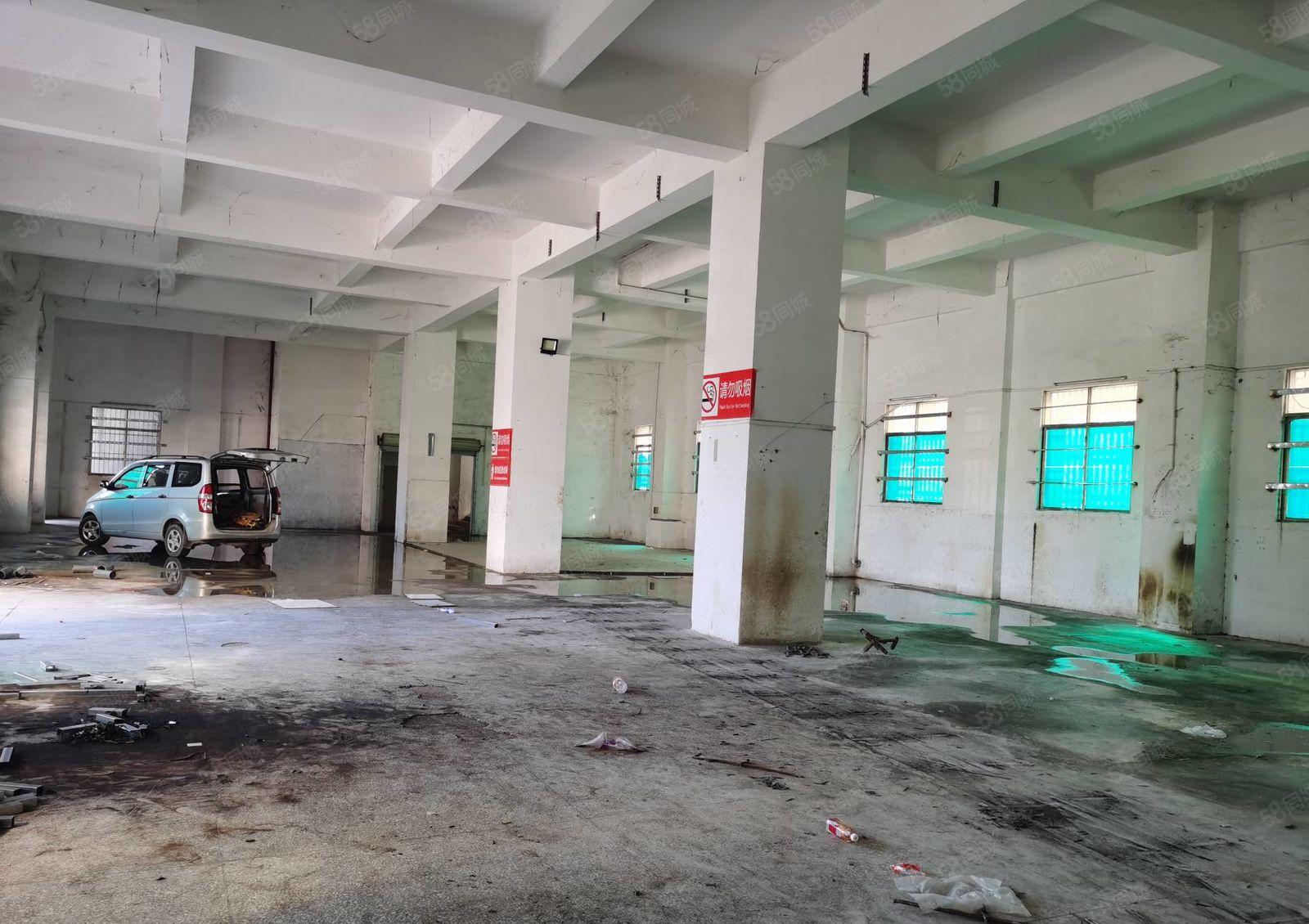 小金口青塘独院3200平方厂房出租价格实惠交通方便