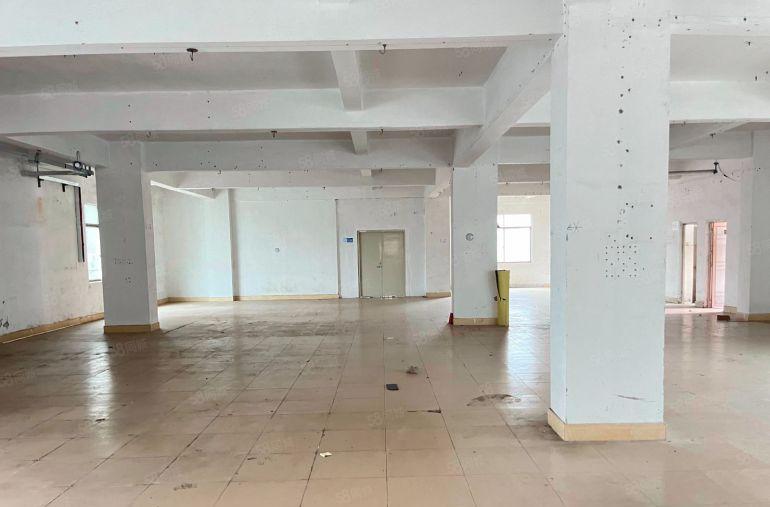 （原房东独院）小金口8块每平大路边厂房