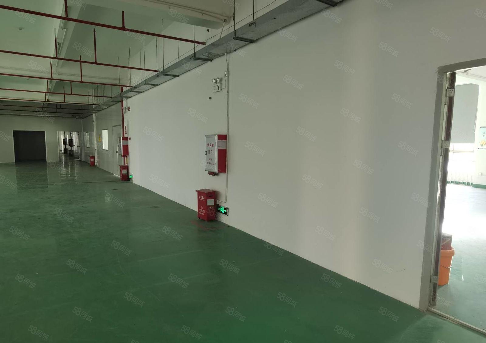 水口带装修厂房，1600平，主线150kva到车间，办公齐