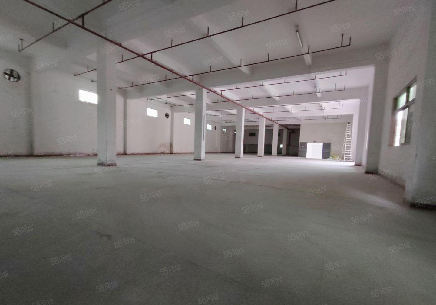 水口龙湖新出独院红本厂房6300平 证件齐全 配套完善