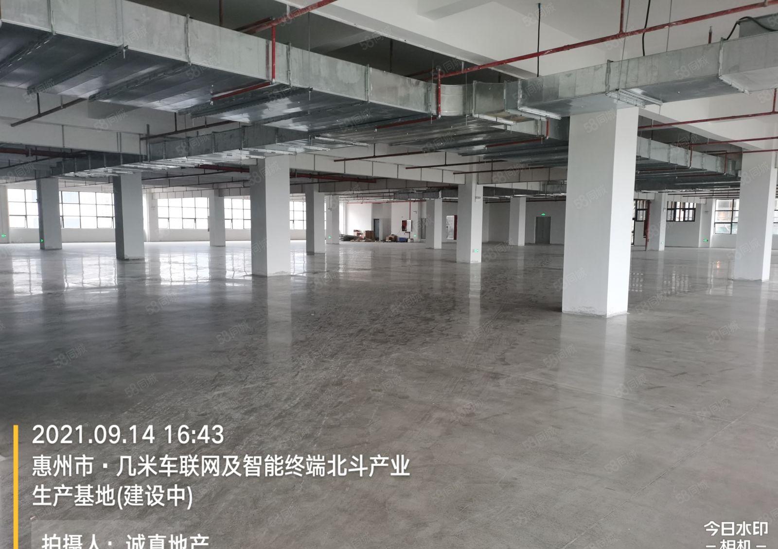 江北标准厂房一楼出来啦，楼高六米，交通便利，设施齐全，超便宜